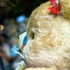 butter bear น้องหมีเนยเเฟนคลับ