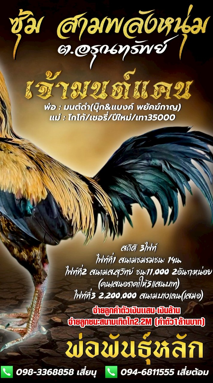 อัพเดตฝากผสมมนต์แคน