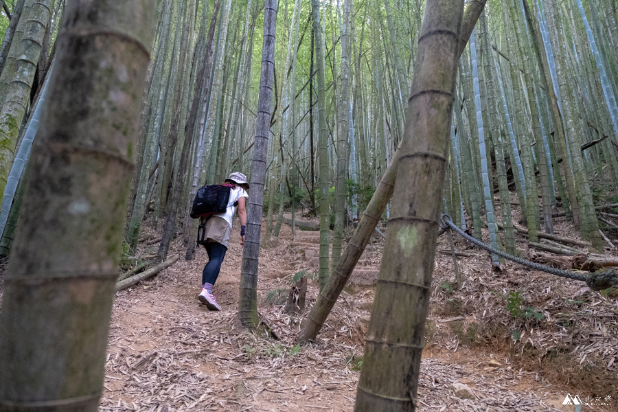 山女孩MelissaxMao冒險生活_水社大山_日月潭登山_路線分享-29.JPG