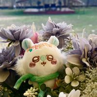 憨吉ちいかわ代購