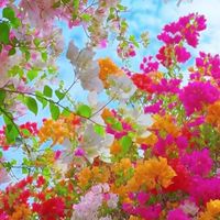★関東★ ★大人の雑談 友達作ろ★ 40"50"