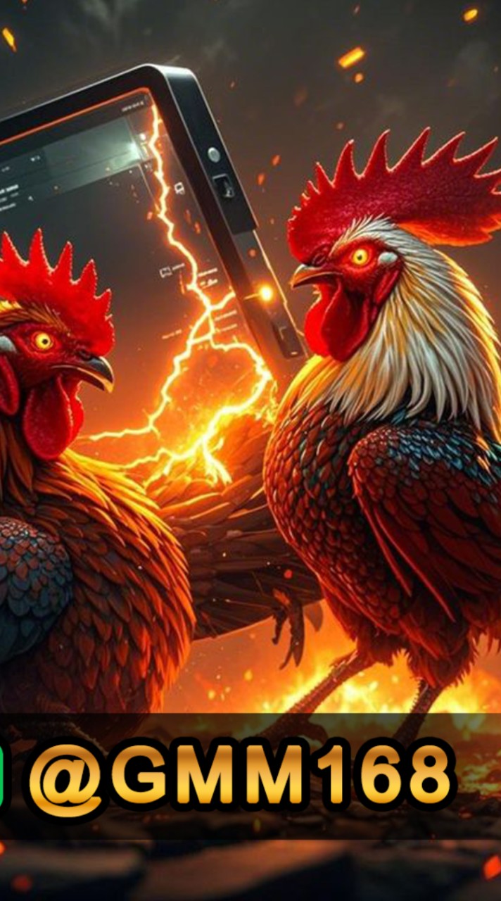 ข่าวสารไก่ชนนายหัว888
