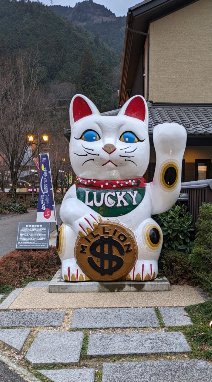 白貓醬日本代購(ฅ’ω’ฅ)