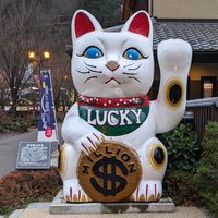 白貓醬日本代購(ฅ’ω’ฅ)