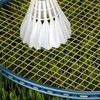 🏸台南羽球群～戶外羽球場🏸