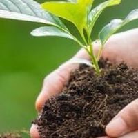 重慶國中709導師與家長群組