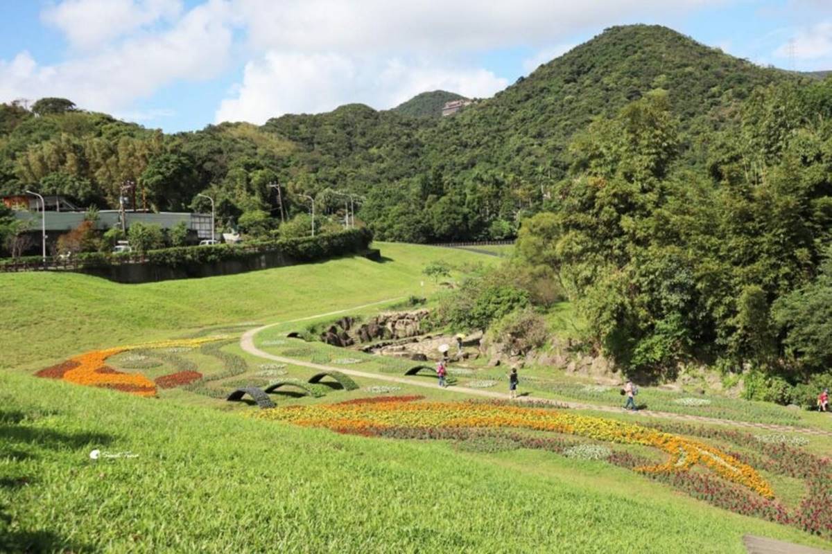 輕鬆好走不費力！內湖６條森林步道：80米「S型空中長廊」、紫色龍形吊橋