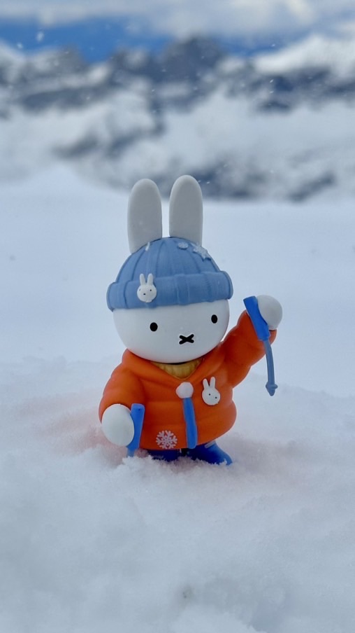 Miffy米飛💜各種分享✨