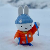 Miffy米飛💜各種分享✨