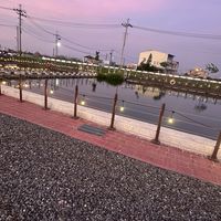 💥遮灰來💥買魚🐟