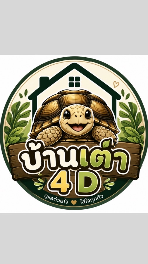 บ้านเต่า 4D