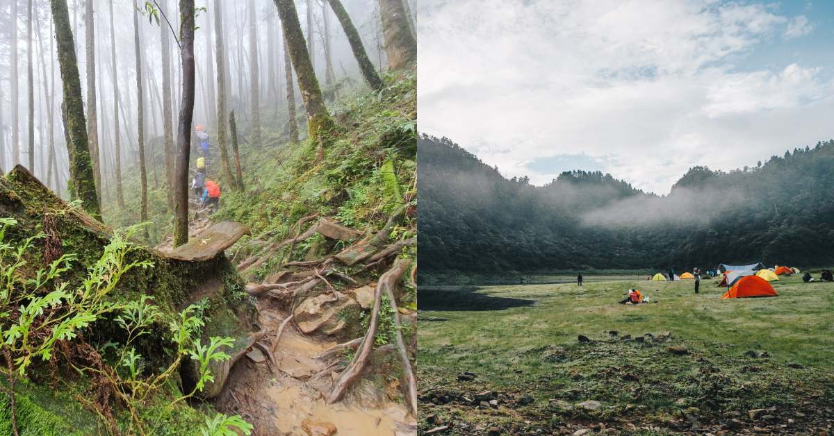 登山路線推薦五大「森林探險路線」！除了嘉明湖，登山客搶登的阿里山「眠月線」也正夯！-2