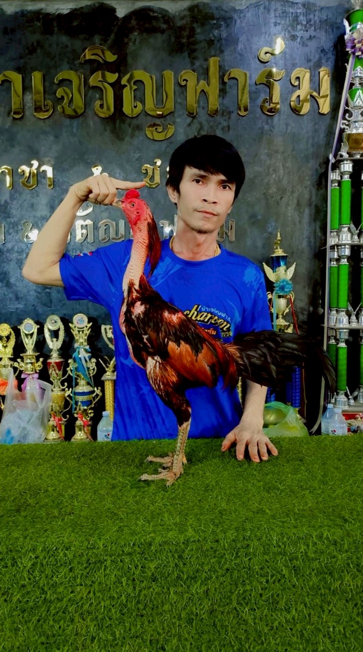ขำเจริญฟาร์ม(สังกัด​ กตัญญูฟาร์ม)