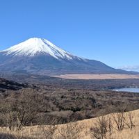 ZENKEN小田原公式ライン