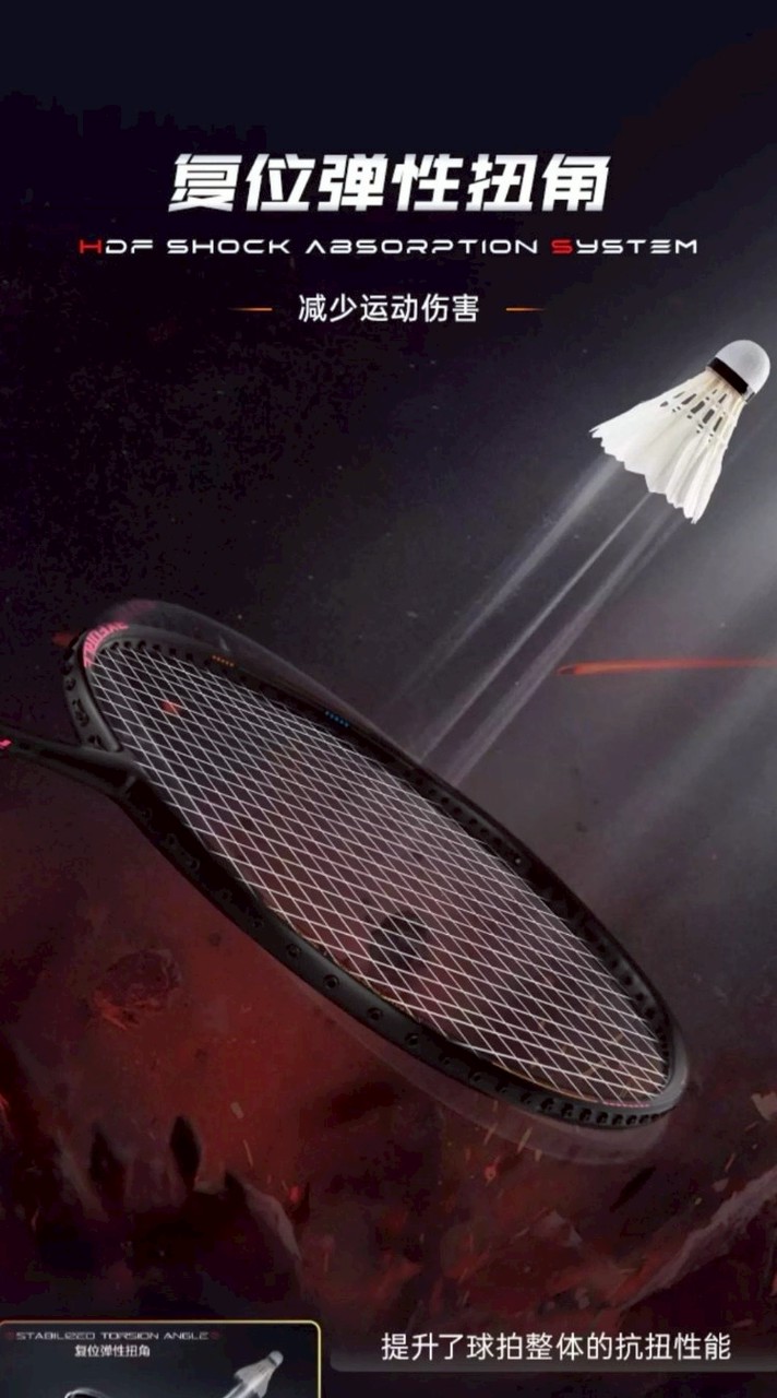 馴龍初中階羽訓班 (專業羽球發球機教學)