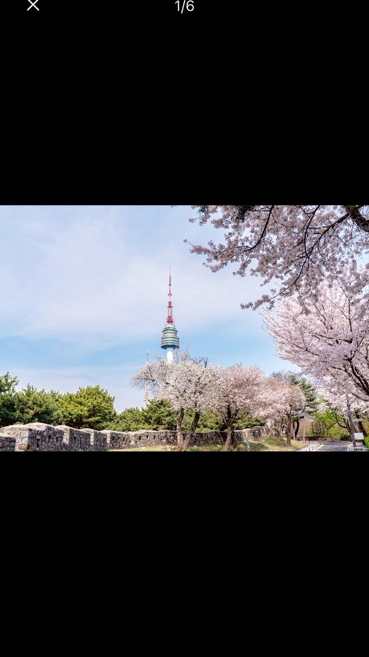 首爾連線3/14-3/18