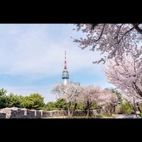 首爾連線3/14-3/18