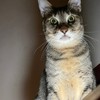 源明動物醫院