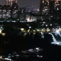 郵輪- 缺伴
