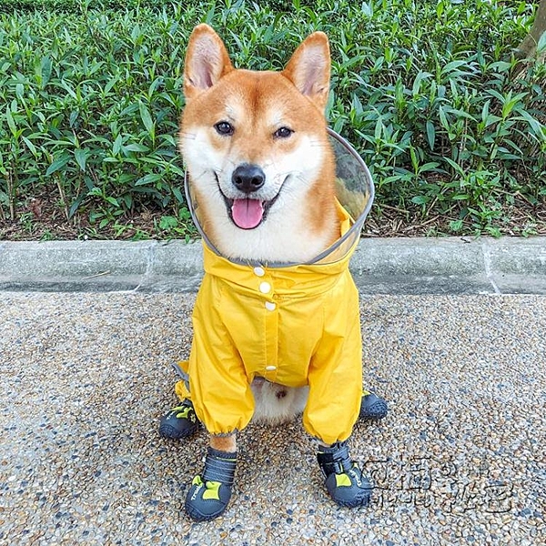 泰迪狗狗雨衣四腳防水寵物用品衣服春夏裝比熊雪納瑞柴犬雨衣全包