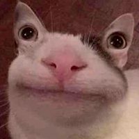 小y的窩