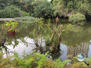 IMG20200314170039.jpg IMG20200314170039.jpg