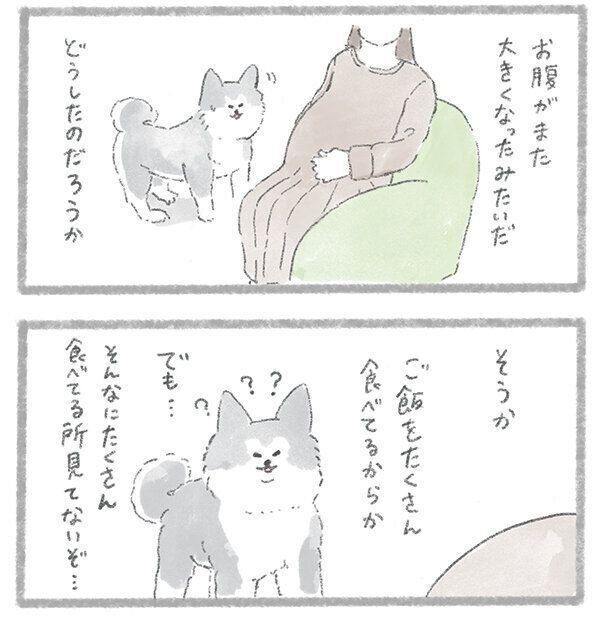 漫画 こんにちは いぬです が読む人の心を今動かすワケ