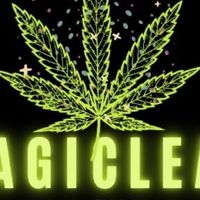 MagicLeaf