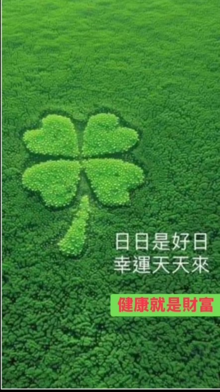 天同板橋佛壇 健康氧 群組