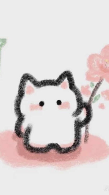 喵喵的粉絲寶庫🎀🤌🏻