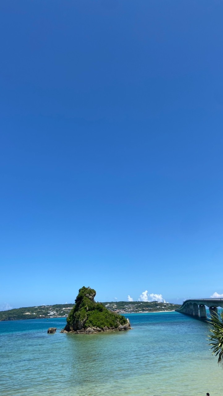 114年度山佳小二交流群
