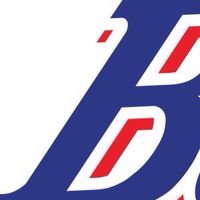 ブルーバッズニュース
