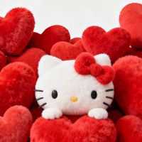 Kitty / jellycat / snoopy 粉絲寶交流💗