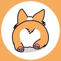 🐶Friend pet shop🐾