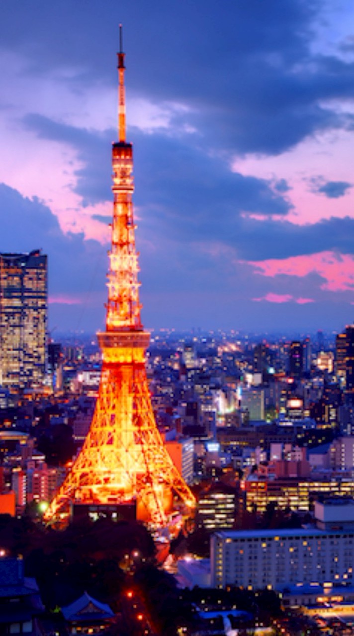 [日本防災連携機構]