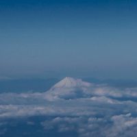 ロイヤルエレメント鹿児島