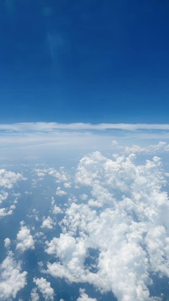 🌍找到了旅遊情報社by妙妙✈️
