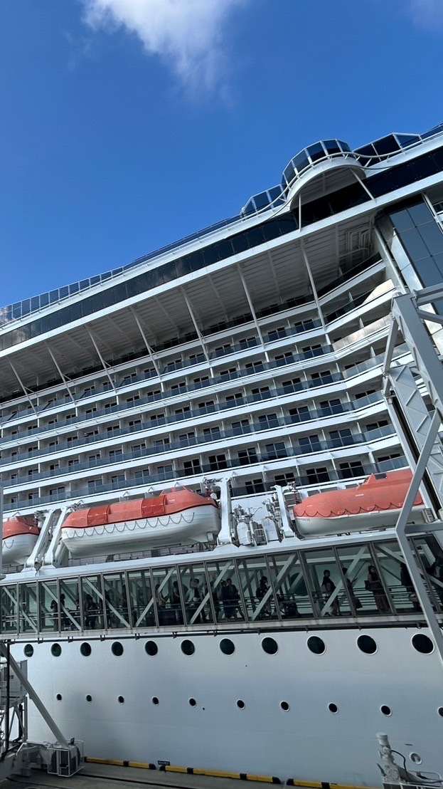 MSCベリッシマ🚢情報交換