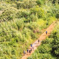 เชียงราย Runner / Trail Runner