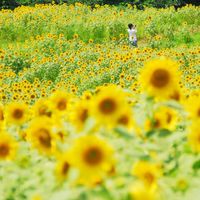 高根フロンティアクラブの部屋