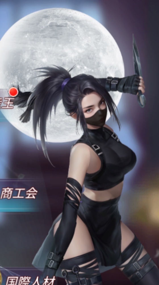 536豪華絢爛