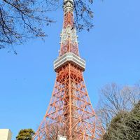 日本代購團