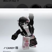 กลุ่มเล่นเกม Roblox🐹✨