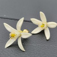 控醣日記