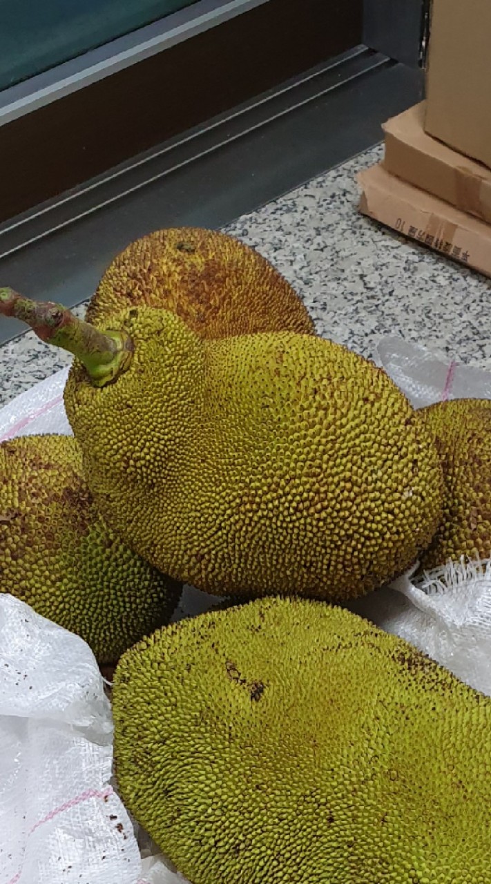花菓香-台中菠蘿蜜大王(波羅蜜,jackfruit)