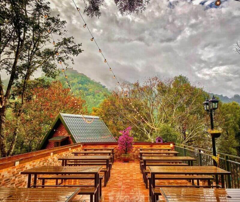 苗栗特色住宿_南庄橄欖樹民宿