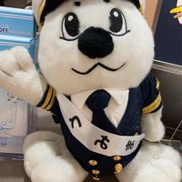 フェリー乗船仲間・フェリー好き