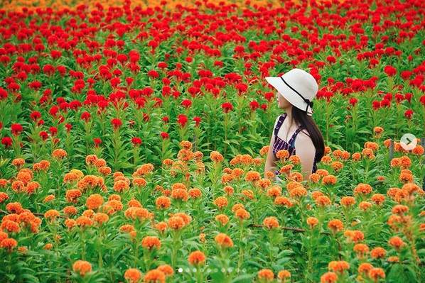 圖片來源 / IG @bruce570318