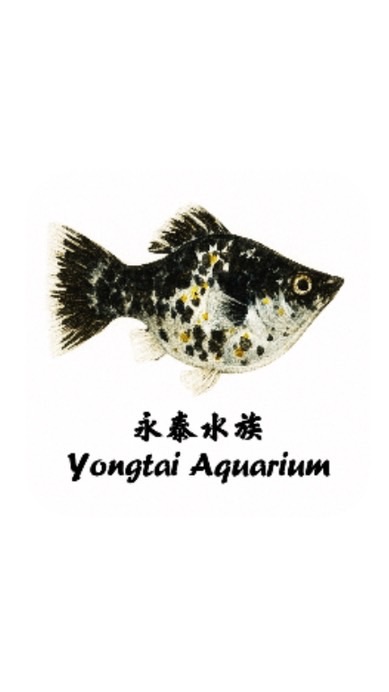 台灣自繁茉莉魚