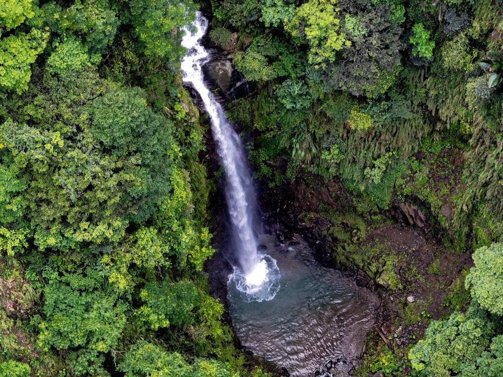 圖片來源/嘉義觀音瀑布2-LINE熱點用戶